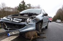 Teilkasko Leistungen: Wissenswertes zur Teilkasko Auto